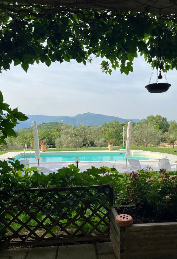 The Forest House Isernia Exteriör bild